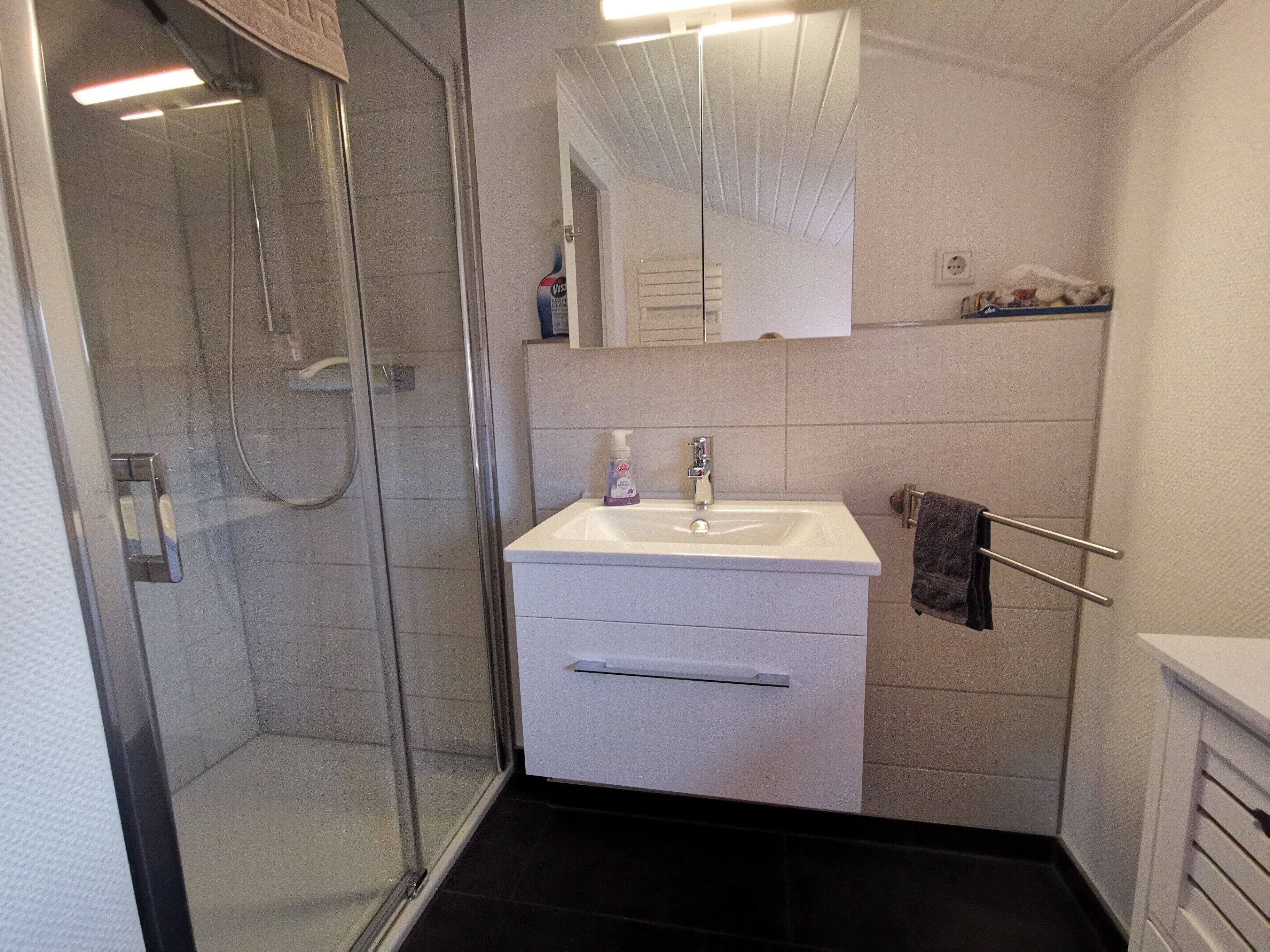 Dusche, Haartrockner, Handtücher