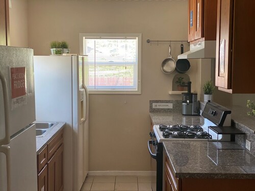 WHOLE Family - Barrette - back - Hostel