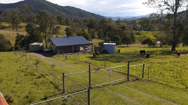 A rural property with a fenced pasture, a small building with a satellite dish, and a hill in the background. - Blackbutt Farmstay Cottage  (Ellenborough)