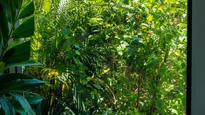 Un jardín exuberante con diversas plantas y un muro de piedra.