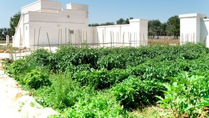 A garden with various plants and a white building with a flat roof and a satellite dish. - Villa in Ostuni with 1 bedrooms sleeps 2 (Ostuni)