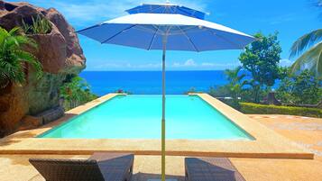 Alberca al aire libre y alberca infinita