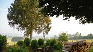 Un entorno rústico al aire libre con un árbol grande, leña apilada ordenadamente y un pequeño banco de madera.