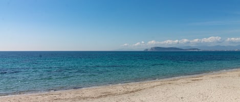 Una playa cerca