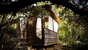 A rustic wooden cabin with a small porch, surrounded by trees. - Hotel Restaurant le Belvedere (Vallon-Pont-d'Arc)