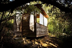 Bar (en el alojamiento)