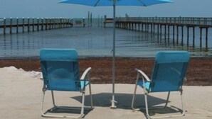 Two blue beach chairs under a blue umbrella on a concrete surface with a pier in the background.