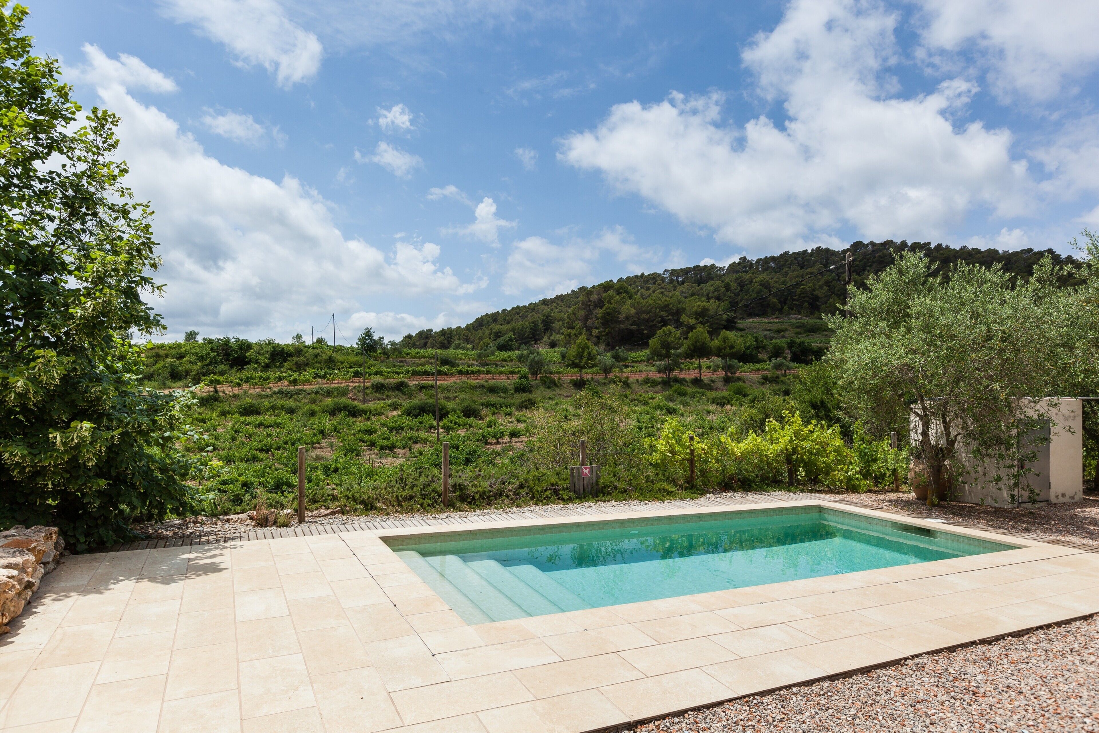 Une piscine rectangulaire bordée d’une terrasse carrelée, entourée de verdure et d’un paysage vallonné.