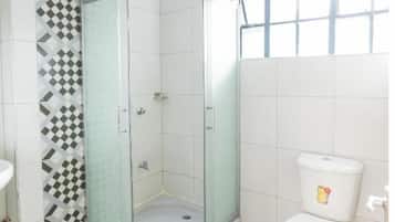 Combined shower/bathtub, towels