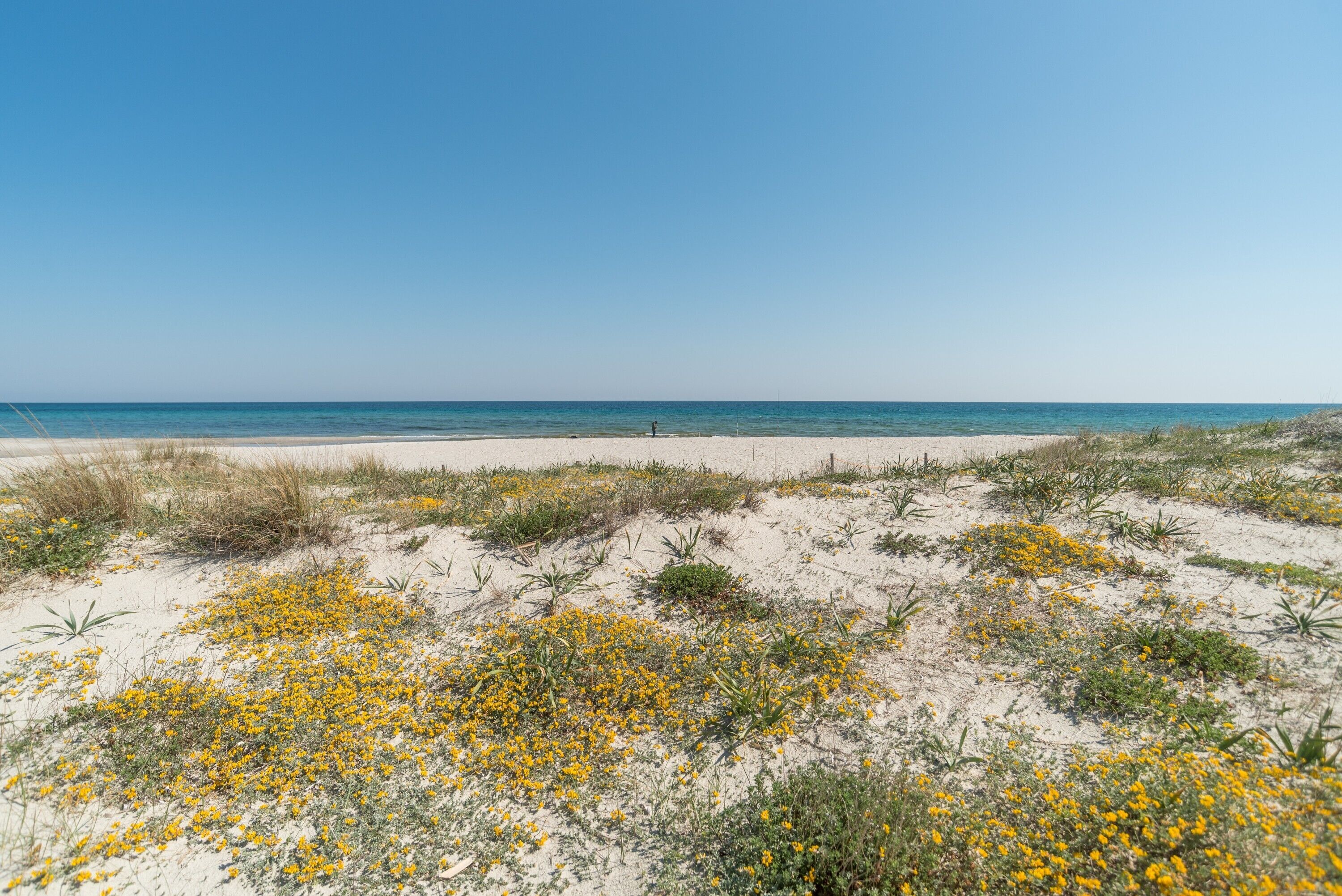 Una spiaggia nelle vicinanze
