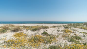 Una spiaggia nelle vicinanze