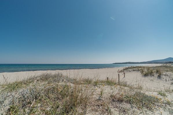 Una playa con dunas de arena y un cielo despejado.