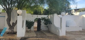 A courtyard with a white wall, a tree, a gate, and a blue chair.
