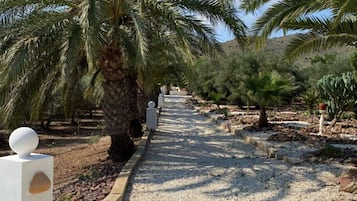 Terrein van de accommodatie