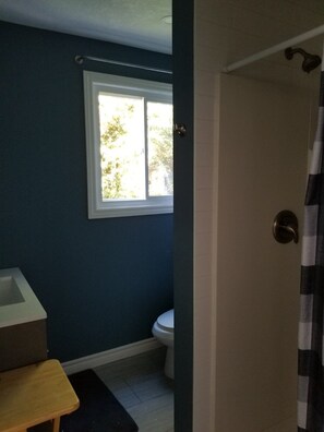Shower, towels, soap, toilet paper