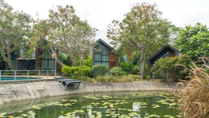 A modern building with large windows and a pond with lily pads. - The Tree Riverside Resort Kaeng Krachan (Kaeng Krachan)