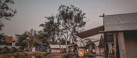 Coffres-forts dans les chambres, bureau, rideaux occultants