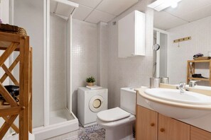 Bathroom features a walk-in shower, toilet, and large vanity with sink and mirror.