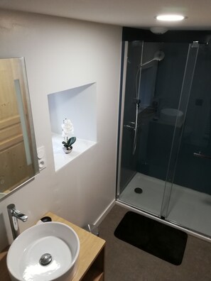 Shower, hair dryer, shampoo, toilet paper