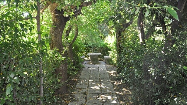 Un sentier de pierres mène à un banc en pierre, lui-même entouré d’une végétation luxuriante.