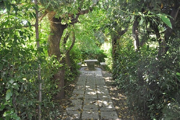 Property grounds - Vacation home La Meridiana - The Palace - Serrungarina (PU) (Serrungarina)