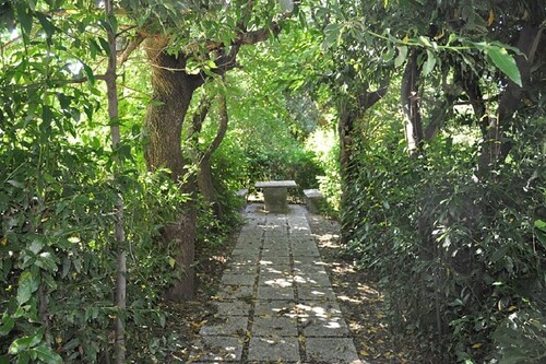 Vacation home La Meridiana - The Palace - Serrungarina (PU)