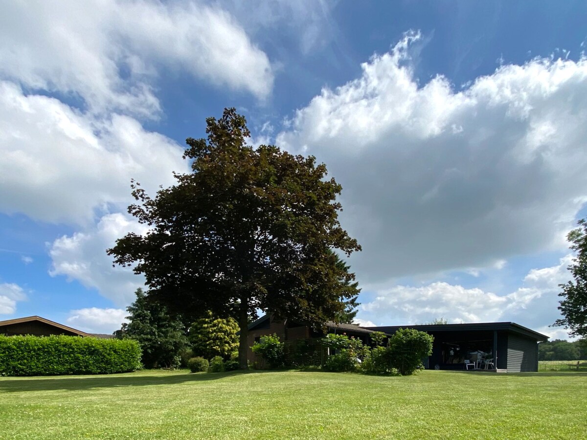 Imagen de perfil del propietario o de la propietaria