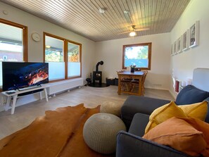 Smart TV, chimenea, libros, estéreo
