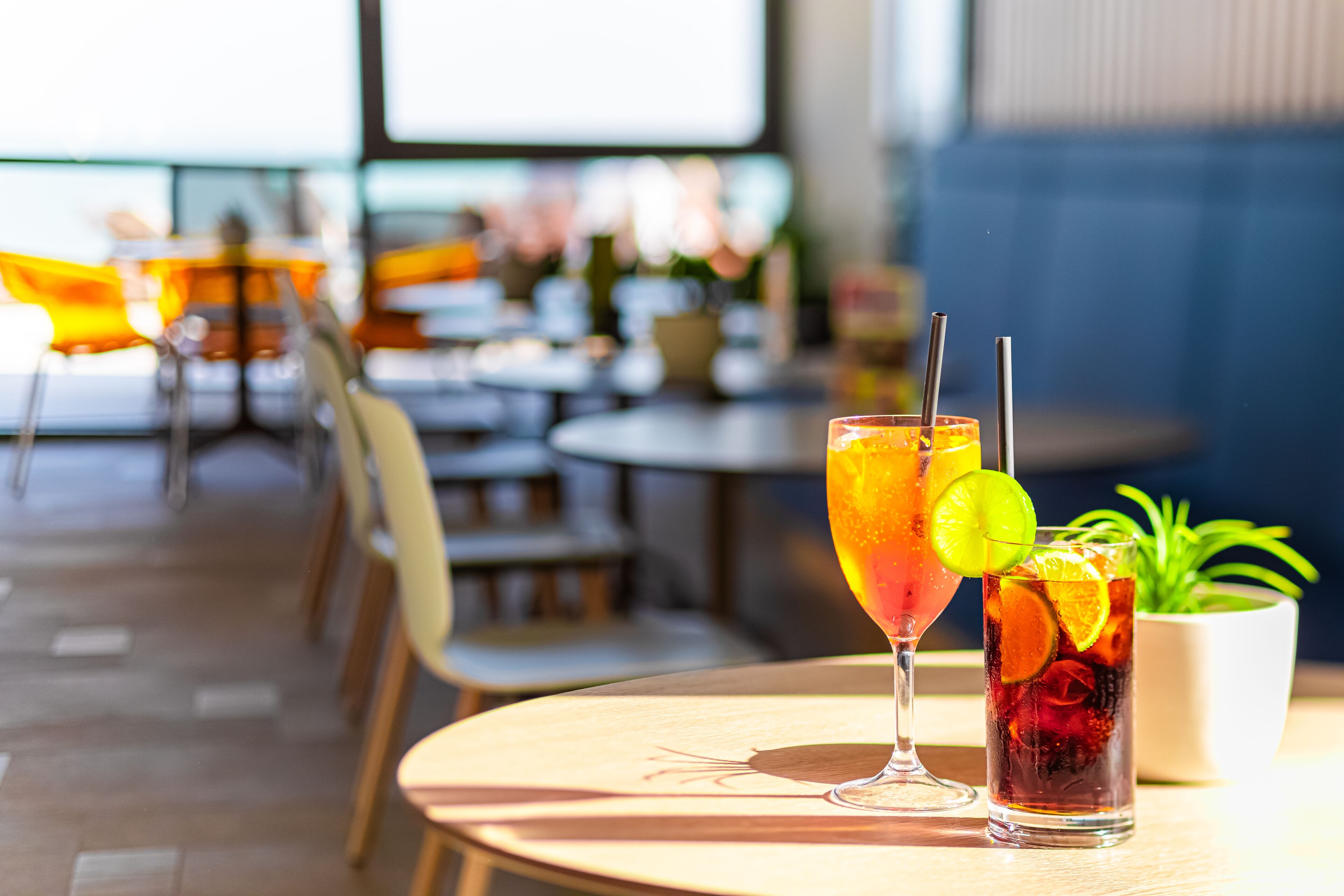 Een restaurantinterieur met ronde tafels, stoelen en een potplant.