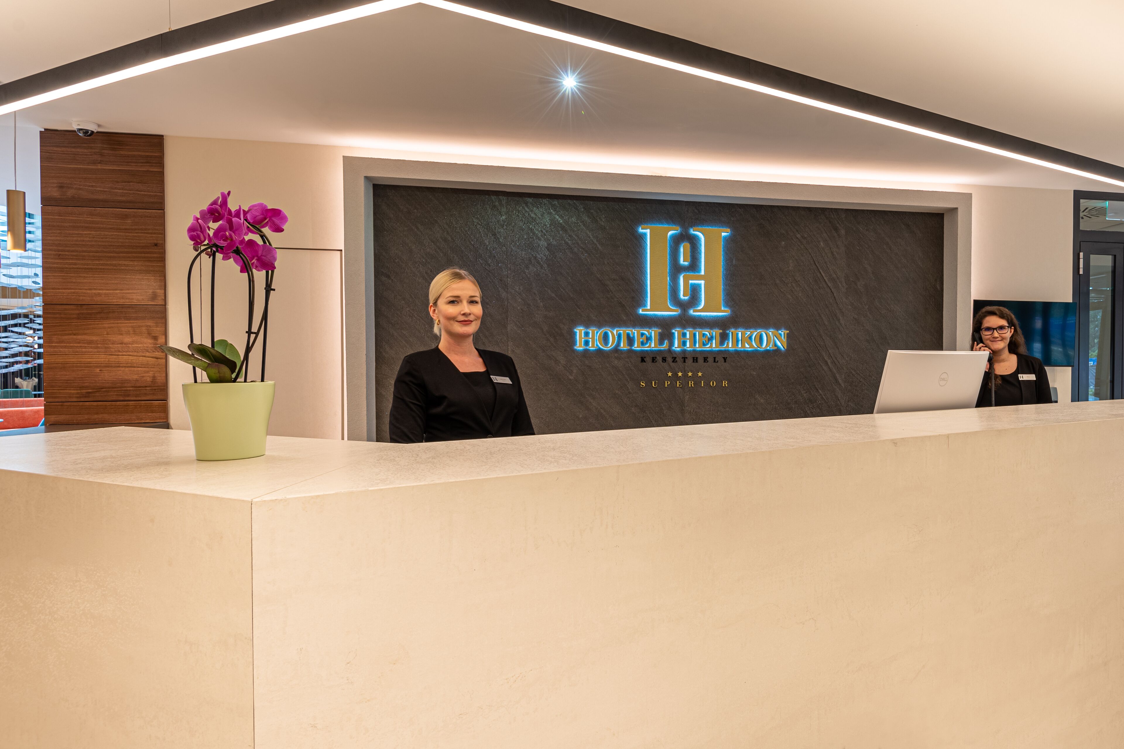 A hotel reception desk with a modern design, a logo, and a potted plant.