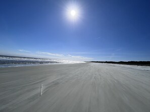 Beach nearby - Eagle's Nest Sapelo Island, beach, nature & comfort (Sapelo Island)