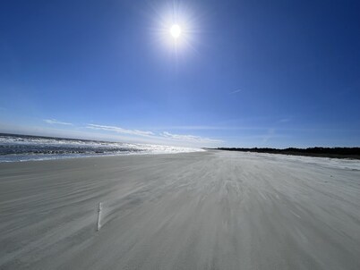 Eagle's Nest Sapelo Island, beach, nature & comfort