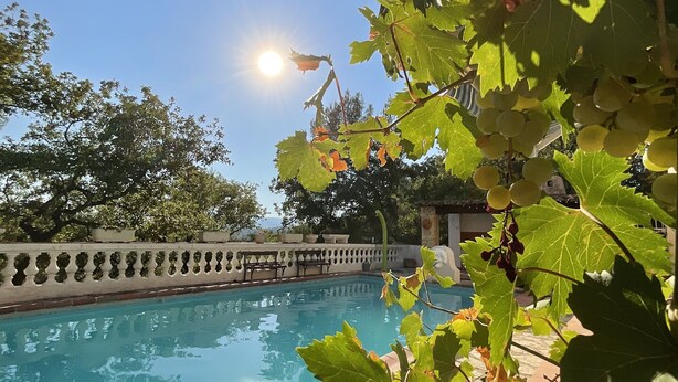 A swimming pool with a stone border, surrounded by greenery and a clear sky.