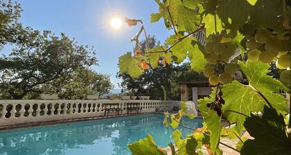 PROVENCE SWIMMING POOL 8 PEOPLE
