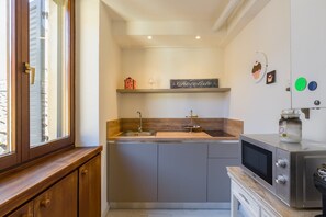 Großer Kühlschrank, Mikrowelle, Herdplatte