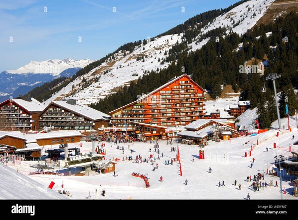 Deportes de invierno y ski