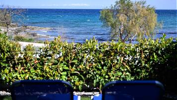 Studio, Sea View (2, with terrace) | Terrasse/Patio
