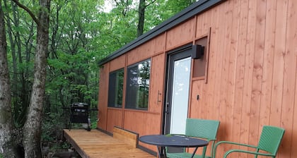 Little House in the Big Woods on the Prairie