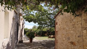 Une ruelle étroite avec un chemin en béton, bordée de murs de pierre et de verdure.