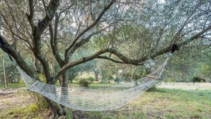 Un hamac suspendu entre deux arbres, dans un cadre naturel.