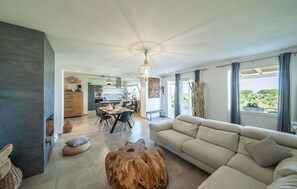 Smart TV, fireplace, books, stereo
