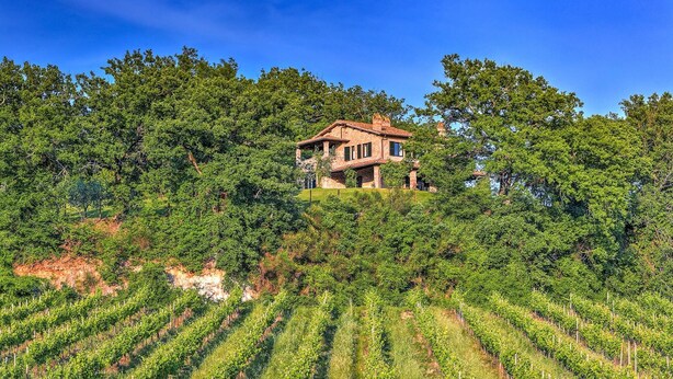 A large house surrounded by dense trees and vineyards. - Tr-a691-basc0at - Villa Poggio Verde 6 (Baschi)