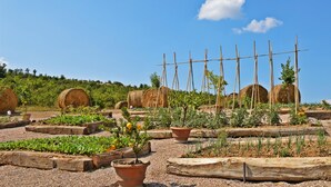 A garden with raised beds, potted plants, and hay bales. - Tr-i381-svim0at - Podere Pomasciano 10 (San Venanzo)