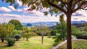 A landscape with a prominent tree in the foreground, a grassy field, and a distant view of mountains and a castle. - Cinque Cipressi 8 in Montecatini Val di Cecina (Montecatini Val di Cecina)
