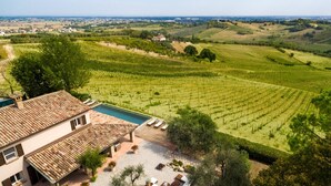 A villa with a tiled roof, a swimming pool, and vineyard fields in the background. - Villino Bruna 6 in Bertinoro (Bertinoro)