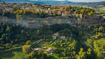 An aerial view of a historic town with a prominent castle on a hill, surrounded by lush greenery and terraced vineyards.