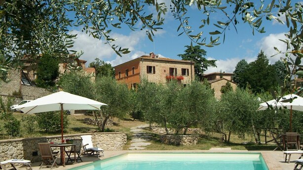 A pool area with lounge chairs and umbrellas, surrounded by olive trees and a stone wall.