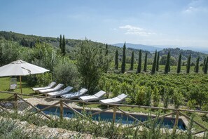 Villa | 4 bedrooms - Villa Delle Upupe 8 (Castellina in Chianti)