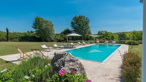A rectangular swimming pool with lounge chairs and umbrellas, surrounded by a landscaped garden and trees. - Alborata 10 in Montalcino (Montalcino)