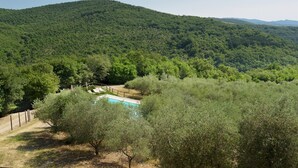 A view of a mountainous area with dense forest and a small pool area with lounge chairs. - Villa La Poiana 10 in Radda in Chianti (Radda in Chianti)